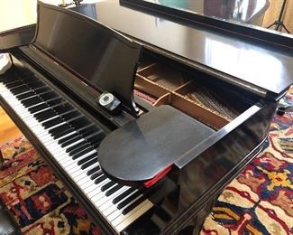 Read more about the article Steinway Piano owned by Larry Edoff